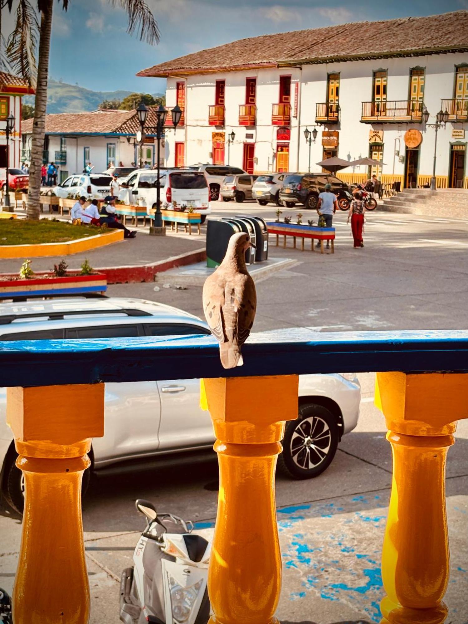 Hospedaje Camino Real A 150 Mts Del Centro Salento Luaran gambar